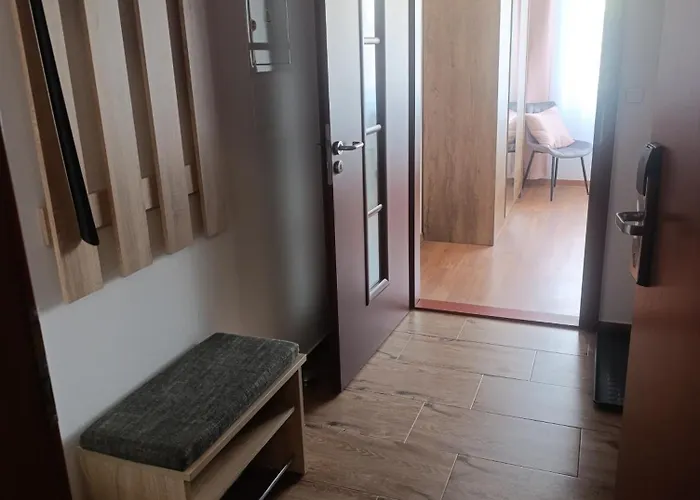 Apartman Frymburk 公寓 弗林布尔克