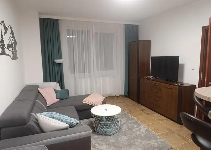 Apartman Frymburk * 弗林布尔克